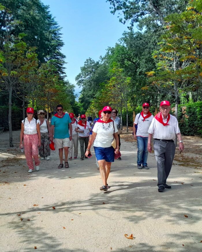 Memoria de actividades 2023